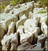 Škraplje